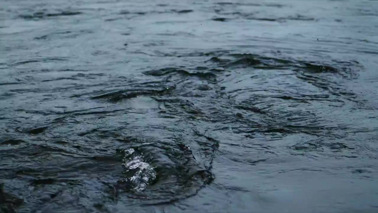 Dark, murky water flows with gentle ripples. Surface reflects dim light, creating moody texture. No people visible in footage. Ideal for nature, environmental, or storm-themed projects