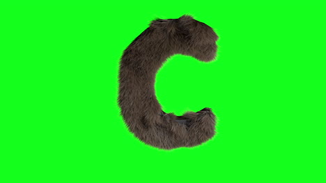 furry hairy 3d letter c on green screen