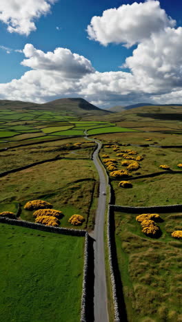 winding road through green hills and fields with yellow flowers