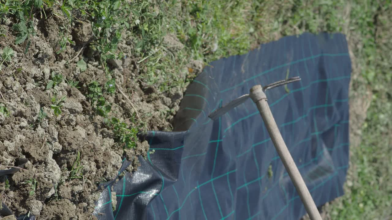 검은색 플라스틱 필름으로 된 잡초 방지 시스템