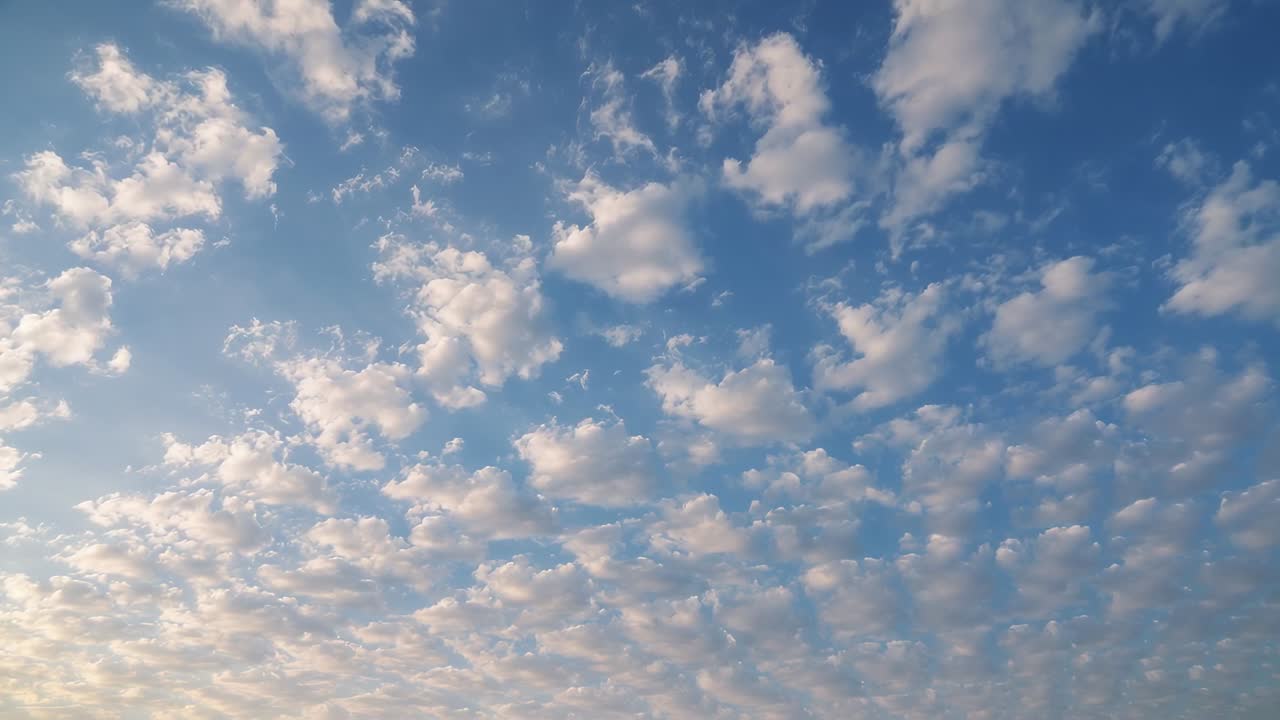 Light wind moving small cumulus cloudlets, changing shape over blue sky at sunrise with warm glow