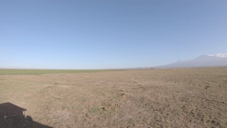 serene landscape of african savanna at footstep of mount kilimanjaro, kenya