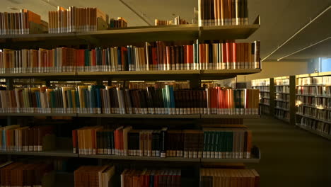 Library Bookshelves