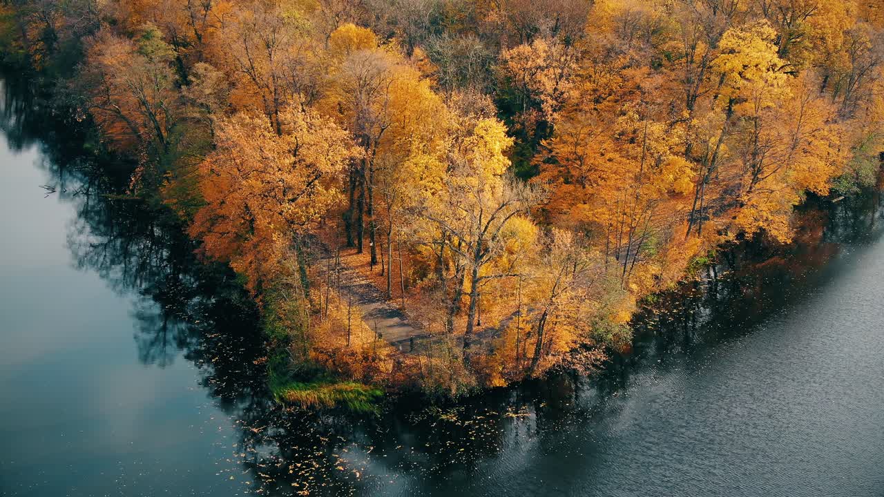 나무 꼭대기  ⁇ 에 숨어 있는 도로와 함께 놀라운 가을 그림자에 대한 공중 숲