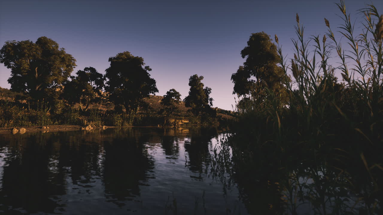 un cocodrilo descansando cerca de un río tranquilo rodeado de vegetación exuberante al anochecer