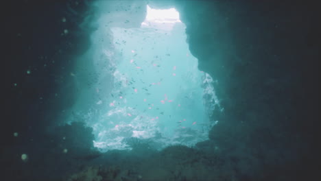 underwater cave with fish and sunbeams