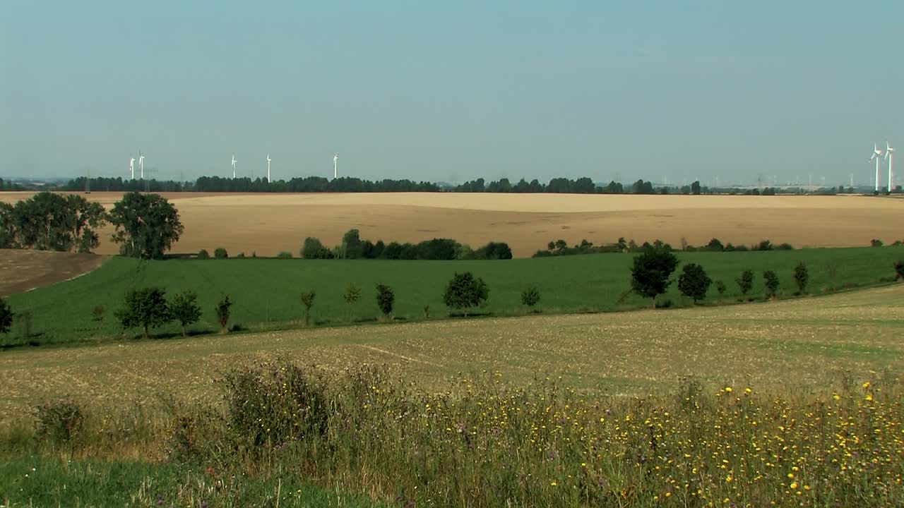 panorama de campos en magdeburger boerde, alemania