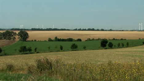 Panorama-Of-Fields-In-Magdeburger-Boerde,-Germany