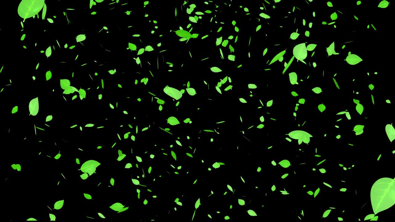 녹색 잎, 신선한 녹색, 떨어지는 입자, 모션 그래픽
