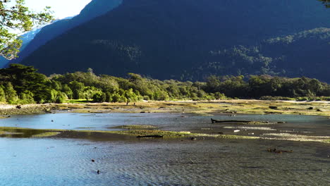 paisaje tranquilo en un día ventoso en el lecho del río en milford sound