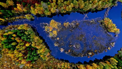 Vista-Aérea-Del-Colorido-Follaje-Otoñal-Que-Rodea-El-Agua-En-El-Campo