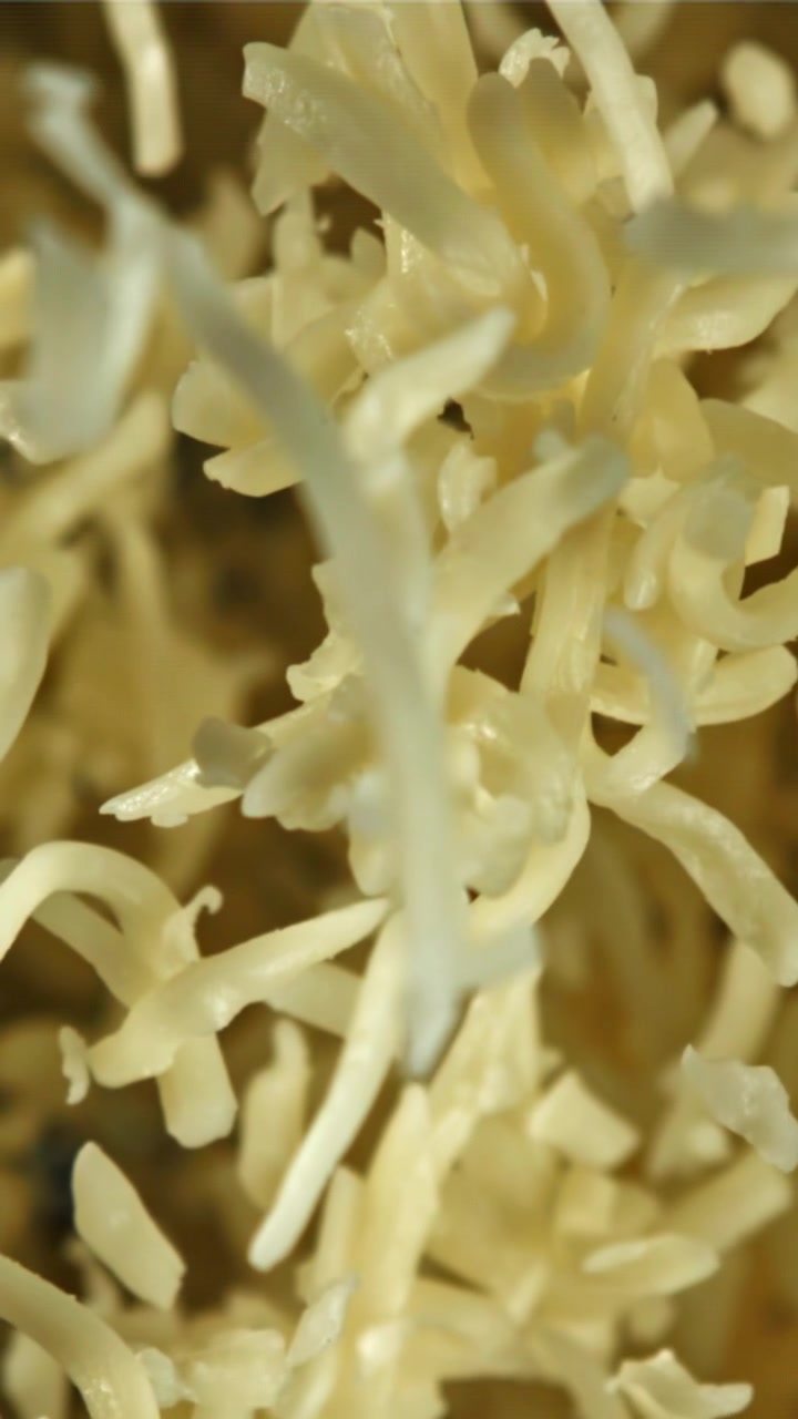 Macro Close-up of Shredded Cheese Coming into Focus