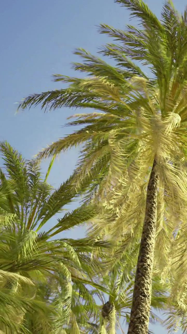 Palm trees sway in the wind under a clear blue sky in a tropical location