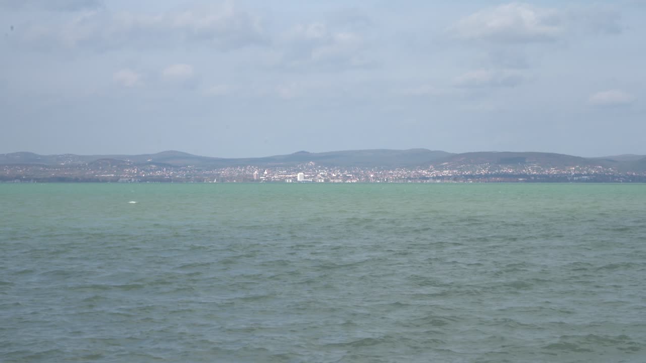 유럽의 발라톤 호수 (balaton lake) 의 해변에서 촬영된 발라톤 파우레드 (balaton faunred)