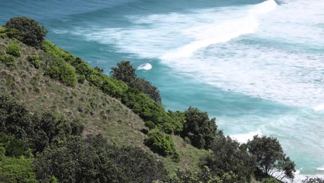 ocean waves meeting the lush coastal landscape