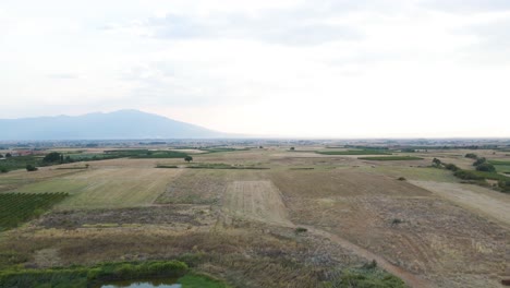 Vorwärts-Bewegender-4K-Clip-über-Die-Landschaft-Und-Weinberge-In-Der-Nähe-Des-Dorfes-Choristi,-In-Drama,-Griechenland