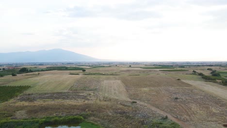 clip de 4k en movimiento hacia adelante sobre el campo y los viñedos cerca del pueblo choristi, en drama, grecia