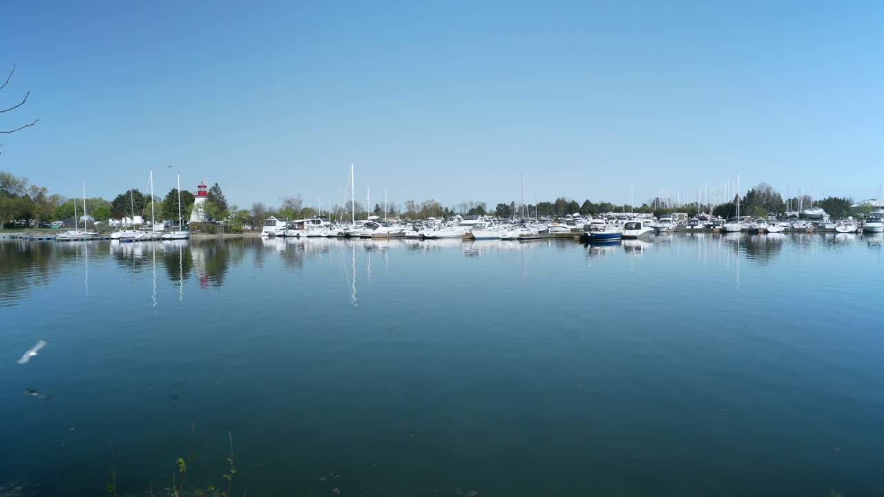 canada lake ontario summer water lakeshore toronto etobicoke water humber