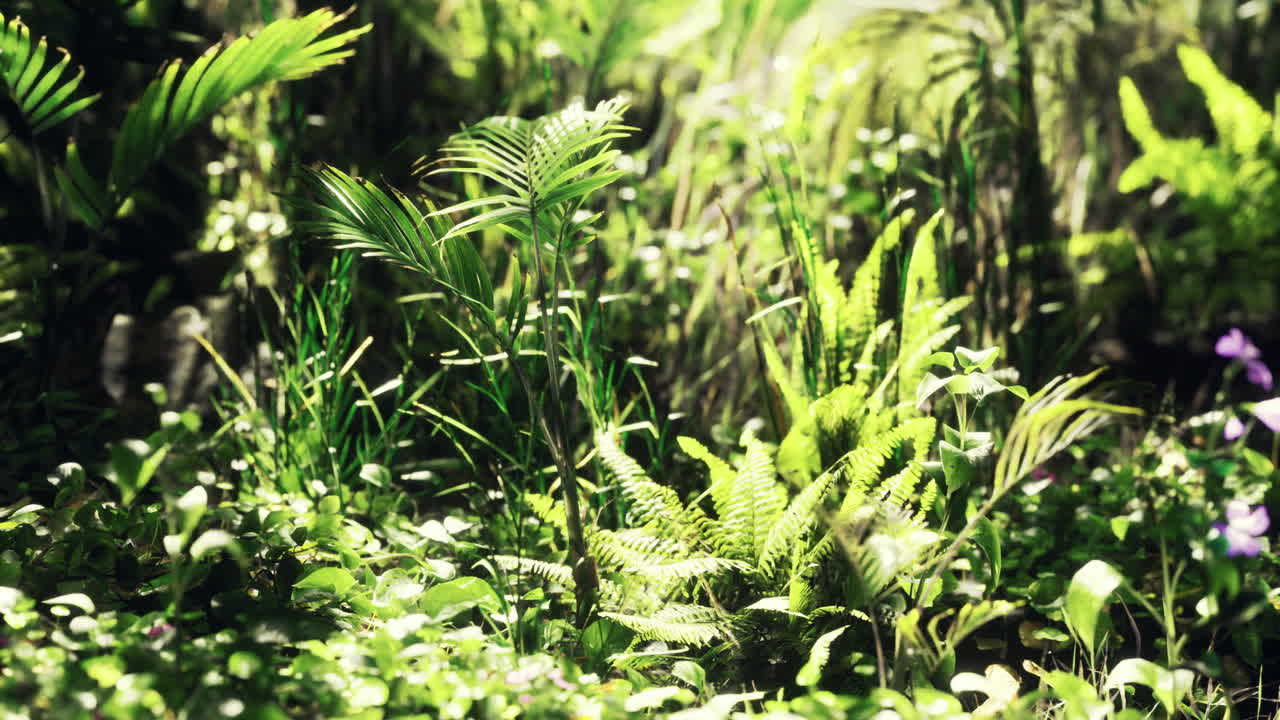 Lush green vegetation thriving in a tropical forest setting during daylight