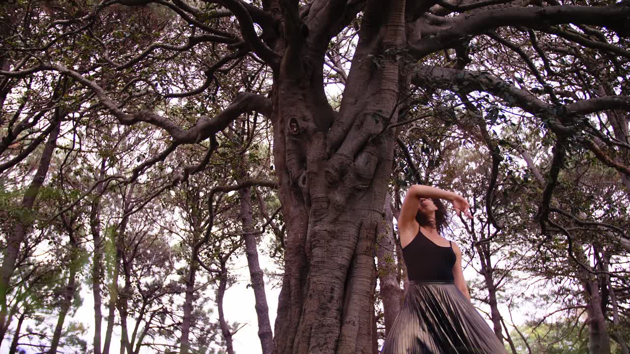 Beautiful Woman Gracefully Dancing Under The Huge Tree At The Pine Forest In Australia - Low Angle Shot
