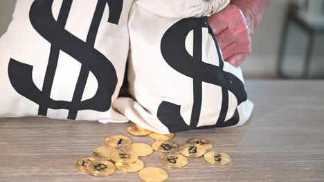 bitcoin and us dollar money bags