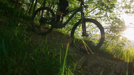 mountain biker on a sunny trail