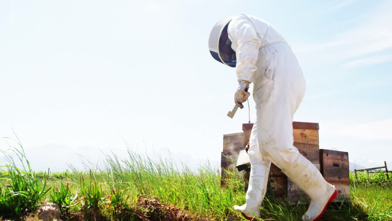 ⁇ 벌 키우는 사람 이  ⁇ 벌집 을 담배 를 피우고 있다