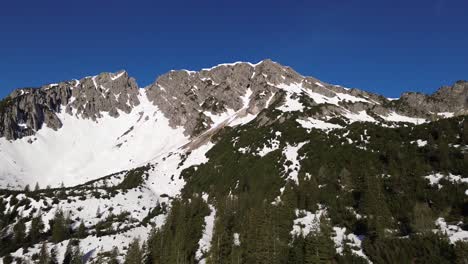 Drone-fly-above-Pine-forest-in-the-Austrian-Alps-towards-Summit,-Austria,-Europe