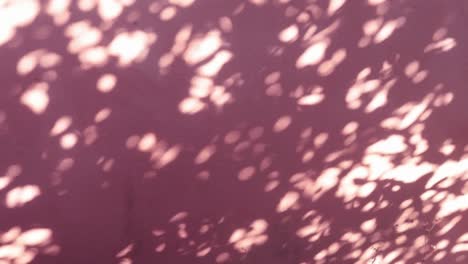 red purple velvet cement wall n bokeh sun light ray or sunlight shadow