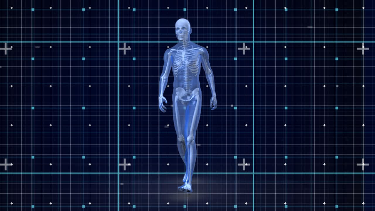 animación de un humano caminando sobre marcadores que se mueven en la cuadrícula