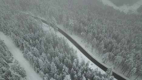 Leere-Straße-Zwischen-Schneebedecktem-Wald