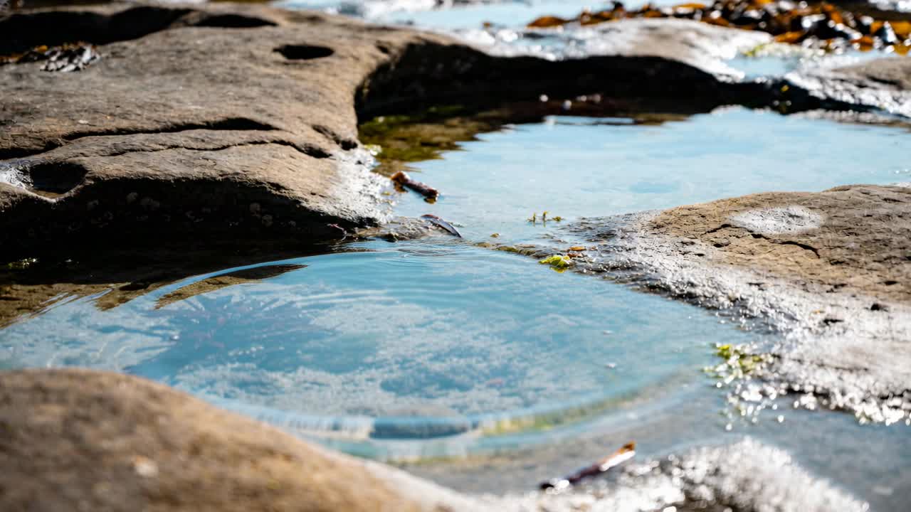 Krusende tidevandsbassin udvider sig og derefter svinder krusningerne efter et centralt plask på en klippefyldt kyst, med tang.