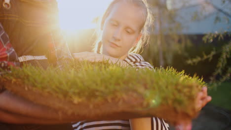 girl strokes the sprouts of green grass, a piece of land with grass is held in the hands of a farmer.