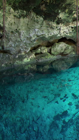 Timelapse-De-Un-Cenote-En-México-En-Vertical.