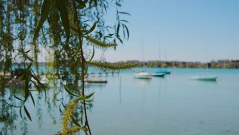 hermoso y pintoresco lago con flores