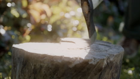 Chopping wooden log with an axe