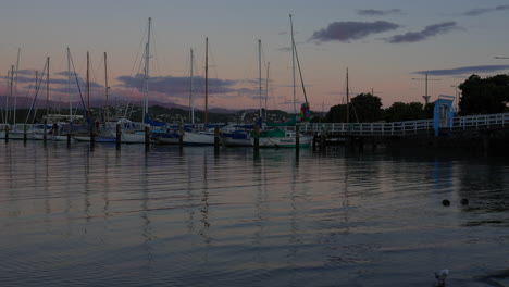 Möwen-Und-Enten-Waten-Bei-Sonnenuntergang-Im-Wasser-In-Evans-Bay-In-Wellington,-Neuseeland