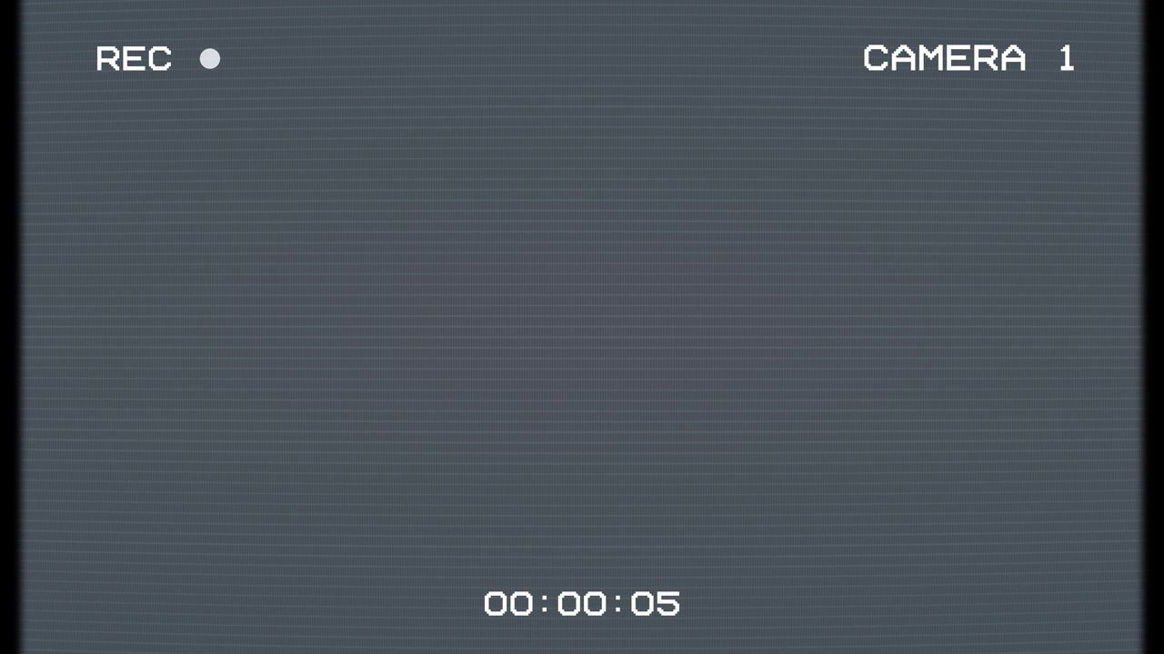 Retro Security Camera Interface with Recording Status and Timecode