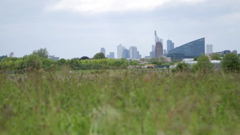 urban skyline viewed from grassy field, cloudy day, camera tilts up revealing cityscape