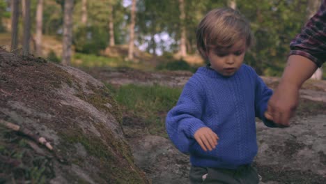 little boy walks with grandmother in nature