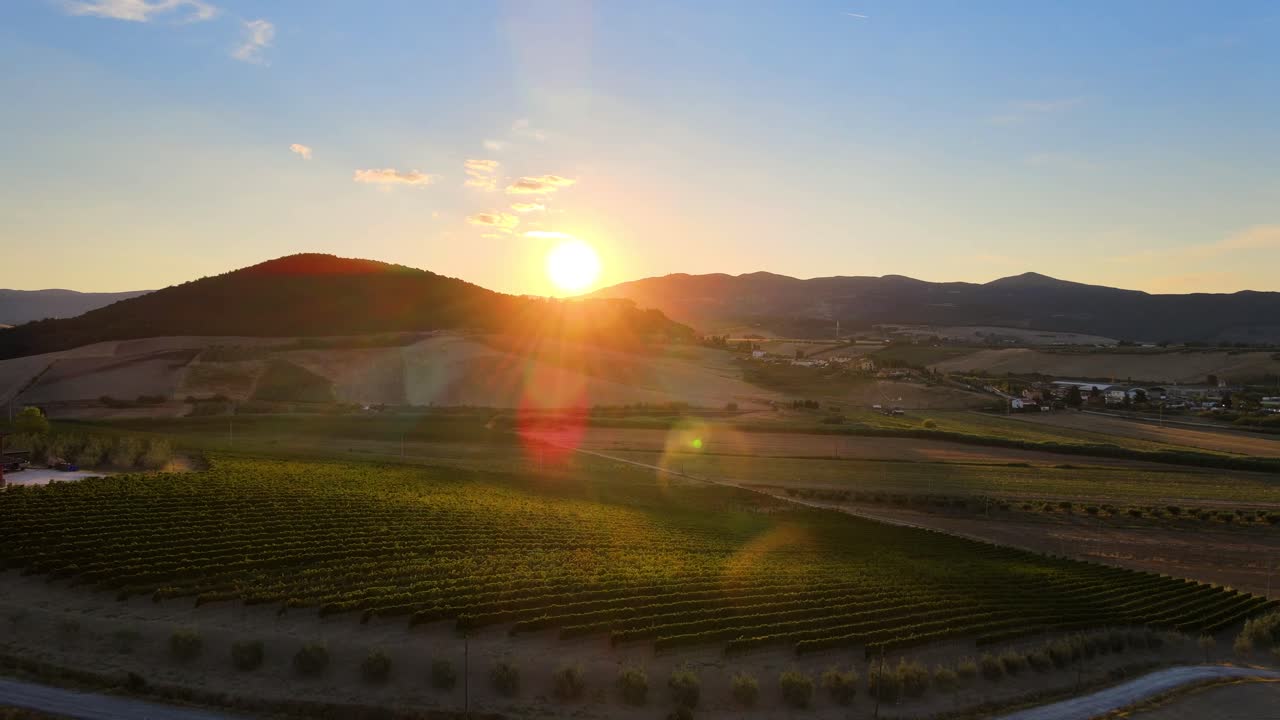 Veduta aerea paesaggistica delle colline toscane con numerosi filari di vigneti, nella campagna italiana, all'alba