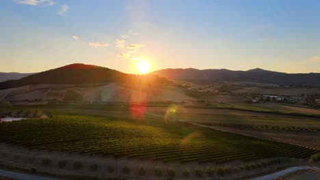 vista aérea del paisaje de las colinas de la toscana con muchas filas de viñedos, en el campo italiano, al amanecer