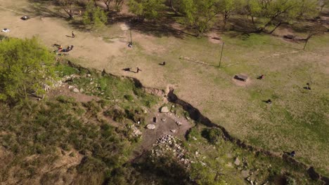 Aerial-view-of-person-doing-fitness-exercise-in-park-of-Buenos-Aires-during-sunny-day