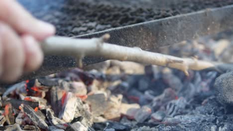 Se-Está-Preparando-Una-Barbacoa-Con-Carbón-Humeante