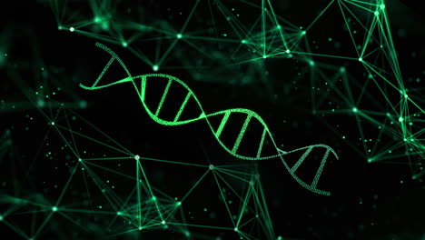 dna helix structure rotating