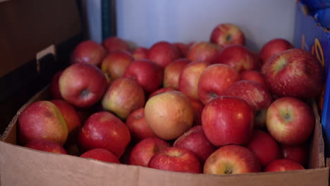 red apples in a box in food pantry gala