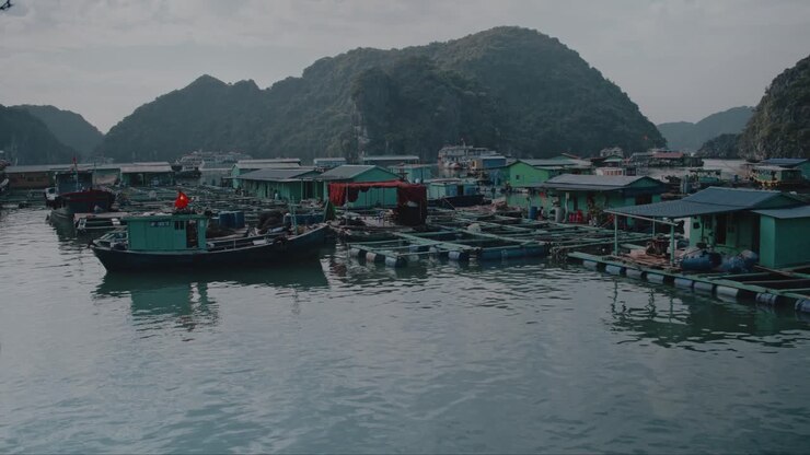 Ha Long Koyu'nun güney kenarındaki Lan Ha Koyu'nun güzel kireçtaşı kayalıkları arasında geleneksel Vietnam tekneleri ve yüzen köy.