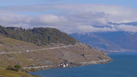 Lavaux-Weinberg-An-Einem-Kalten,-Windigen-Herbsttag