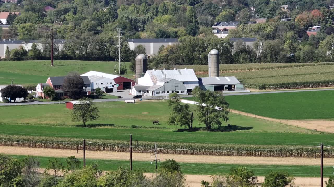 Rural farm scene in USA. Barns and silos amidst rolling fields of green crops. Farm buildings and pastures in USA. Aerial zoom wide shot. Driving cars on street