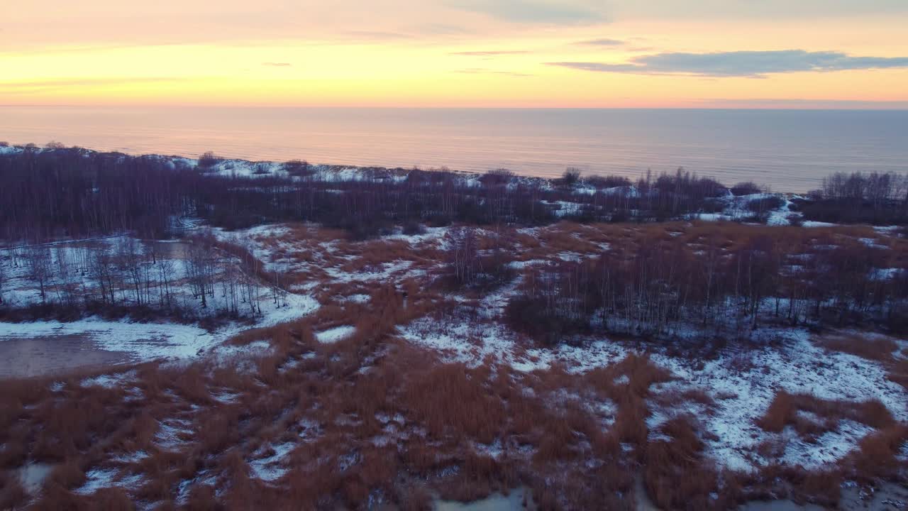 Bordeauxrote Laubsträucher in Daugavgriva, Riga, Lettland, aus der Luft